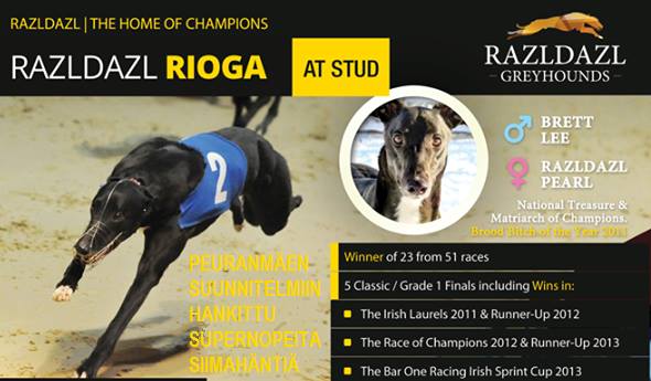 10478024_10154314634845724_7823970346656953800_n