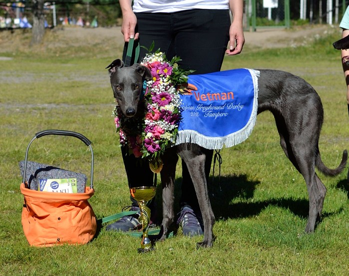 ED_480G_Voittaja_Pricken